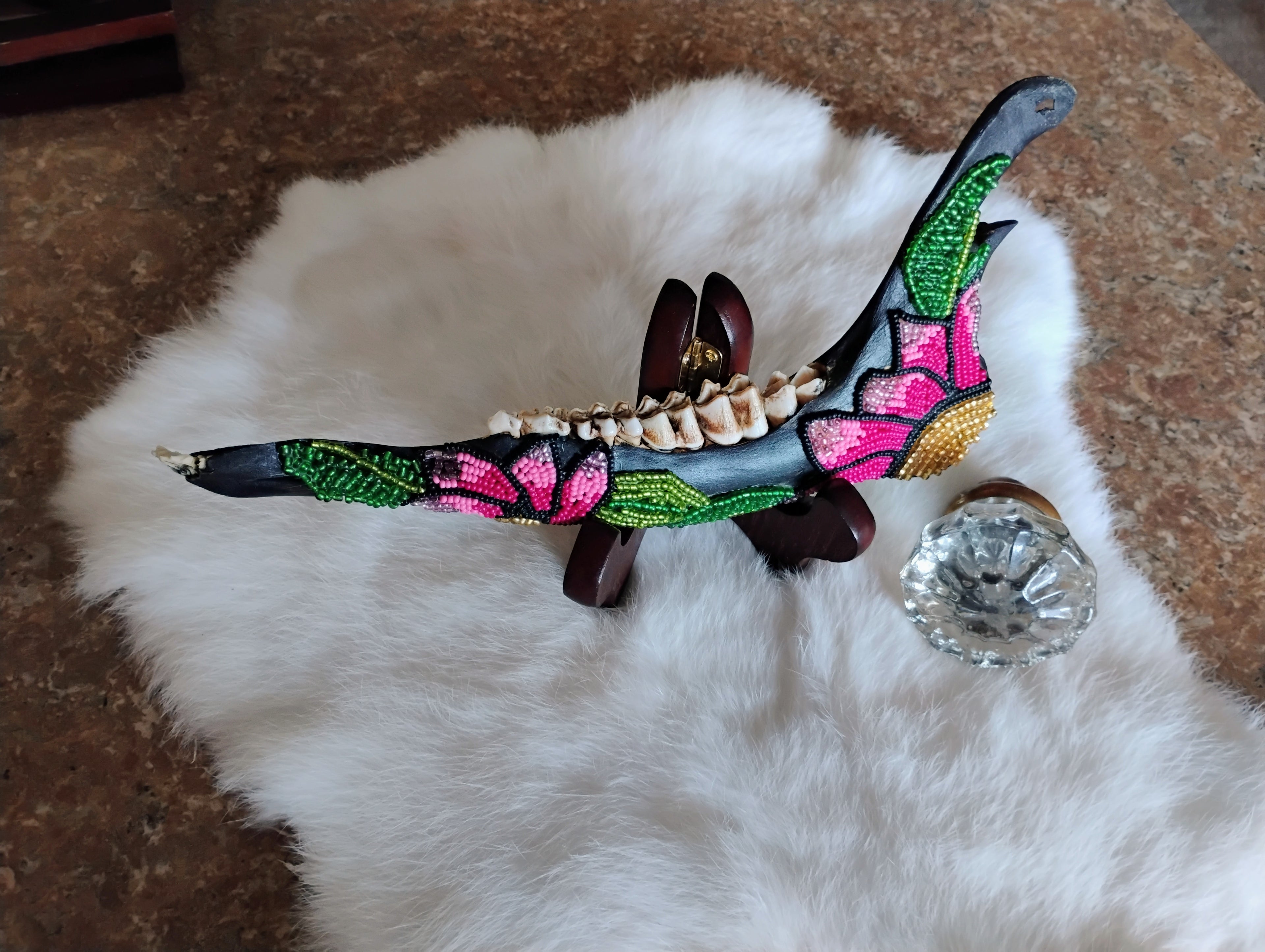 Beaded Deer jaw bone (lower jaw)