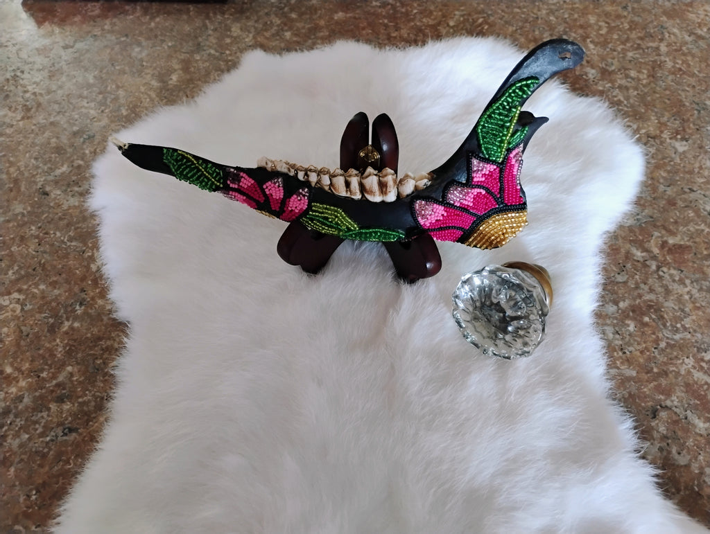 Beaded Deer jaw bone (lower jaw)
