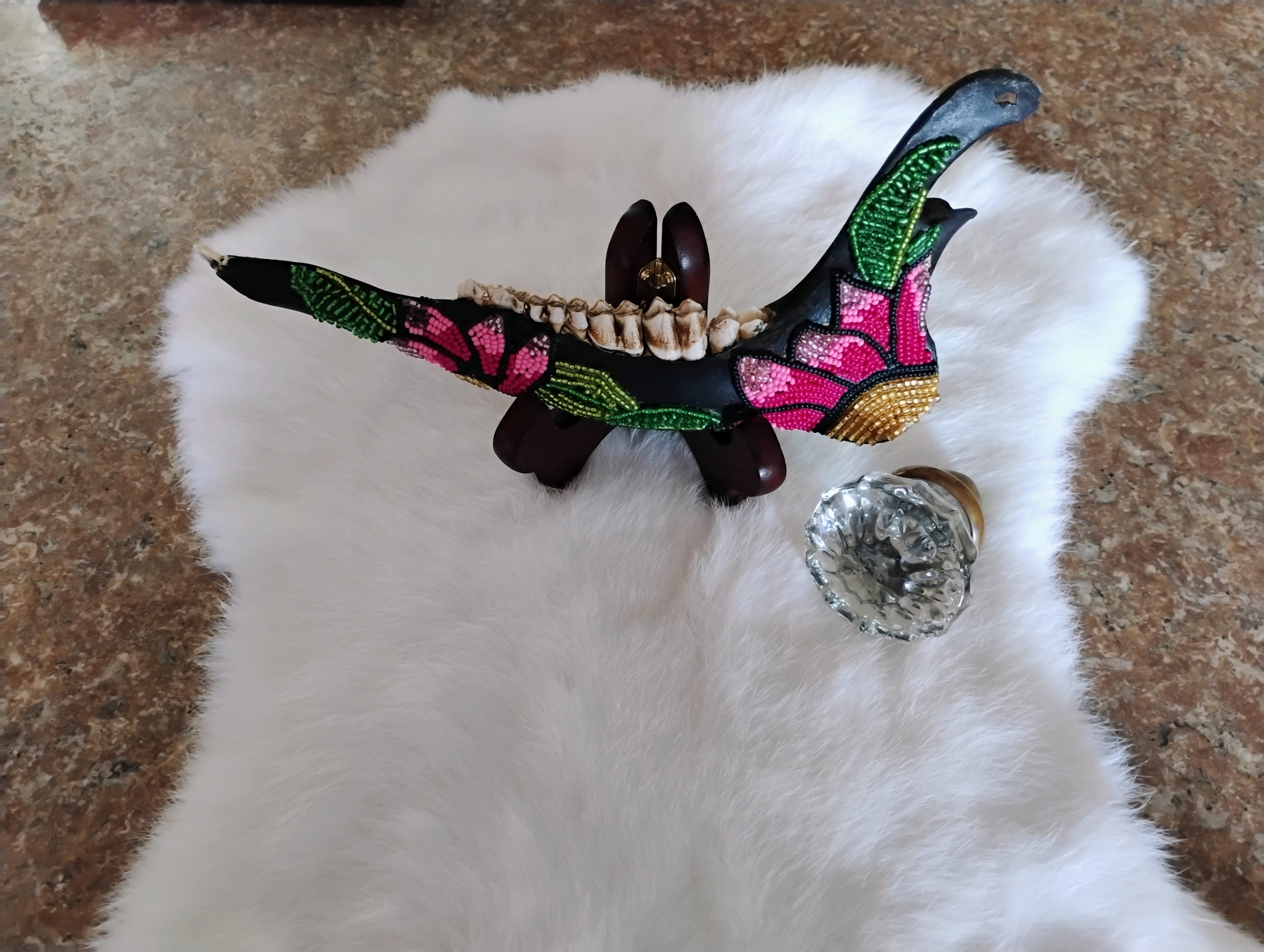 Beaded Deer jaw bone (lower jaw)
