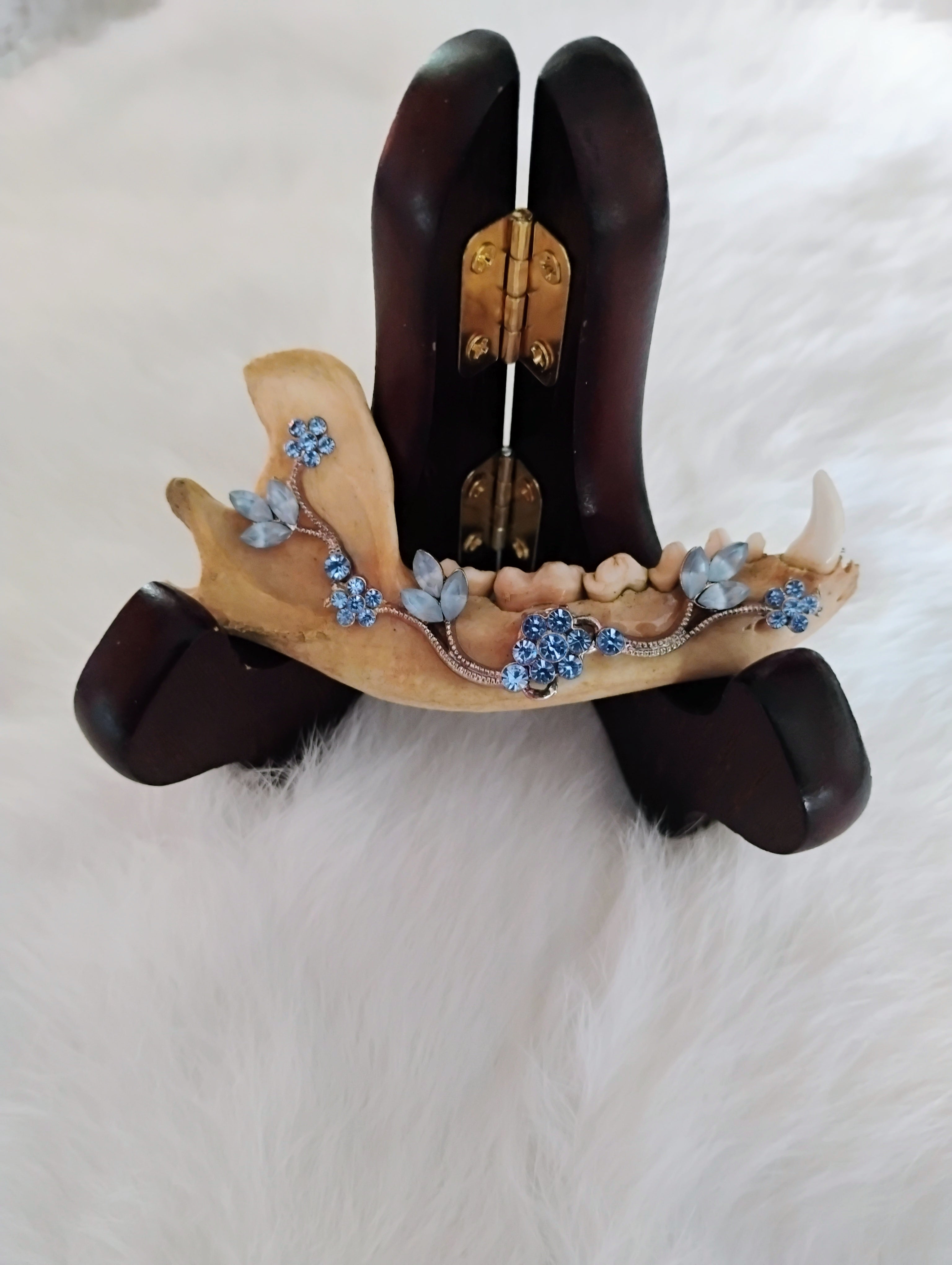 Custom hand beaded racoon jaw bone